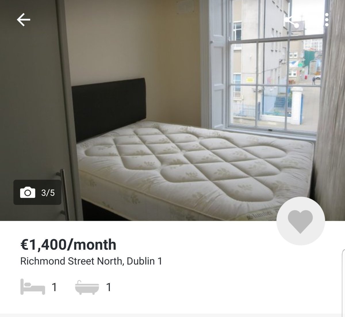 Naoise Falafel tweet media