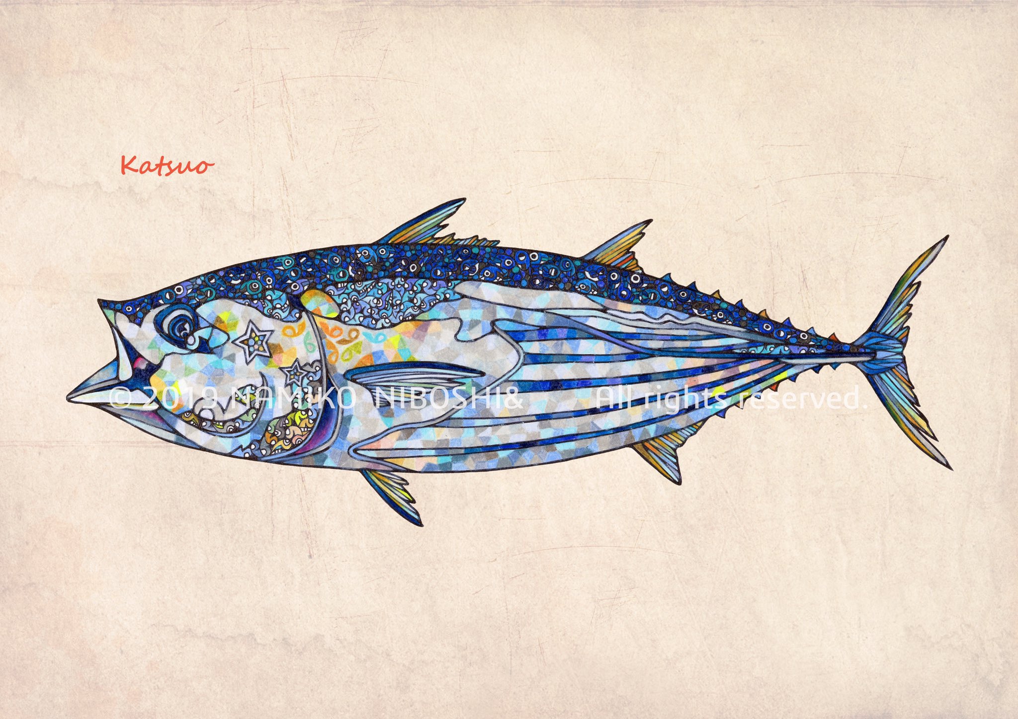 Namiko Niboshi イラスト図鑑 カツオ File1 イラスト 魚 カツオ T Co J8xsk11a8m Twitter