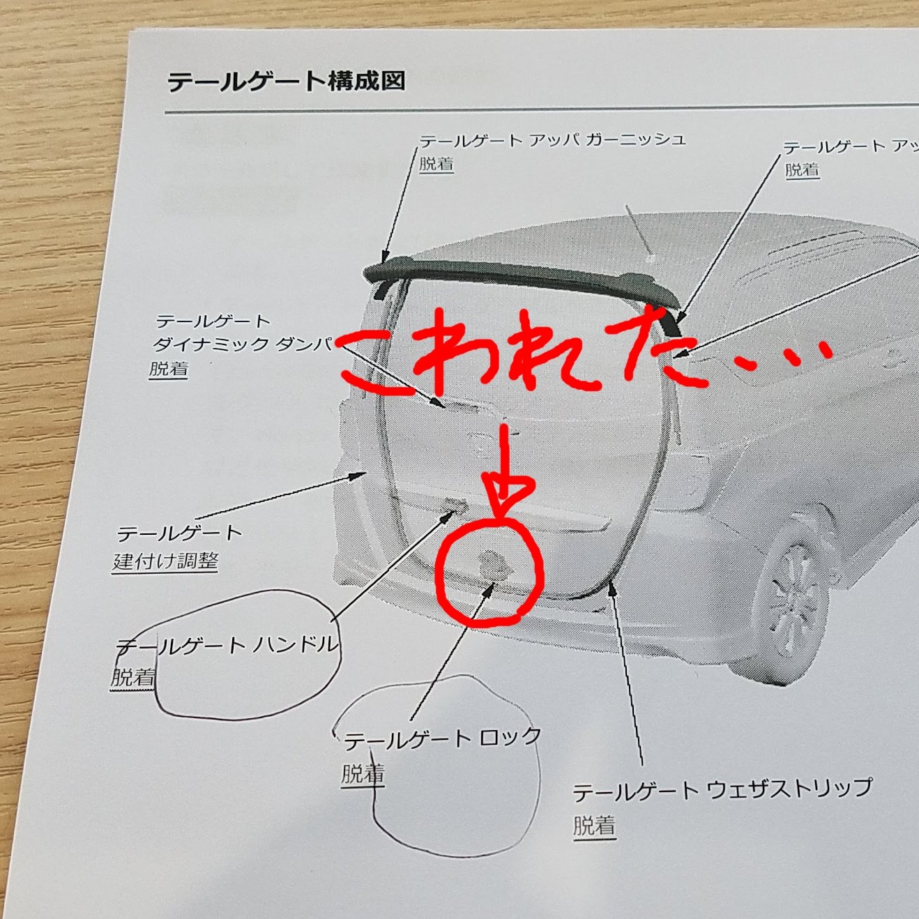 らんたいむ なぜかテールゲートが開かなくなったのでディーラーさんに見てもらったら鍵では開けられないドアの電気式ロックが物理的に壊れてたようで修理費が13 805えんも必要に ワンコイン車中泊何回分だよチクショー