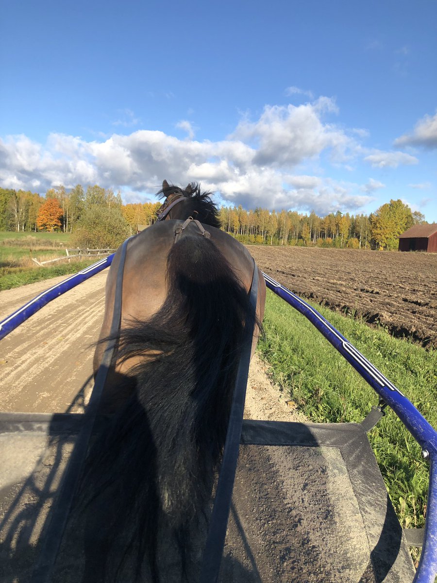 Magdalena Eriksson tweet media