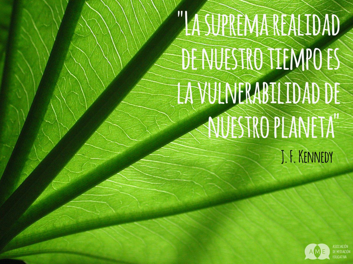 ¡Educación Emocional y Educación Medioambiental van de la mano! 
En #Naturame haremos actividades relacionadas con ambas... ¡Y muchas cosas más! Pídenos información si crees que para tus alumnos/as (mediadores o no) o para tus hijos/as puede ser un proyecto interesante 🌲🌳🌲