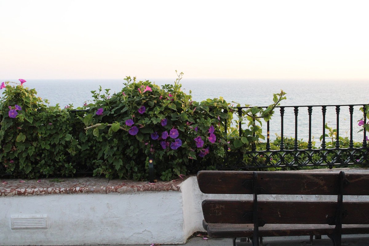 HPerla_Marina's tweet photo. Rincones especiales 😍 en #Nerja para disfrutar leyendo, observar el mar, charlar con tu pareja o.... ¡hacer fotografías!📷

En Balcón de Europa

https://t.co/vTUBGOTDjw

#summer #viaje #travel #seaview #vistasalmar #modovacaciones #holiday #costadelsol #malaga #hotelperlamarina https://t.co/Qv5WkuWH5O