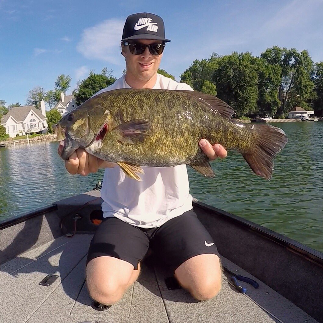 Who loves giant Smallmouth Bass ? #bass #fishing #bassmaster #smallmouth #catchmorefish #outdoor #MondayMood