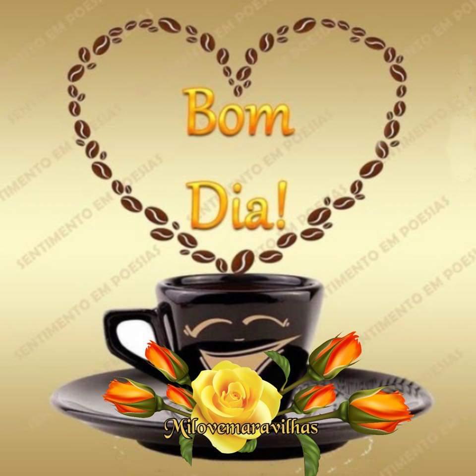 Maria do Carmo on Twitter: Maria do Carmo on Twitter: