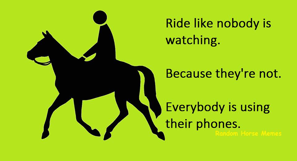 EquiAye Ltd (@equiaye) on Twitter photo 