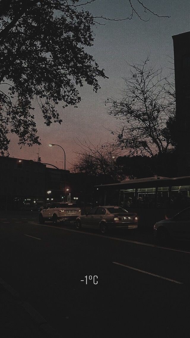 𝕸𝖆𝖝𝖝 | tweet media