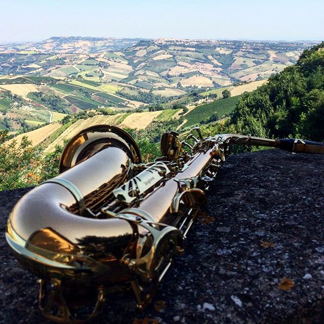 Life goals! :) #mondaymotivation
.
.
#Repost @elena_bongio  #ociochecade #studyhard #yanagisawa #bronze #sax