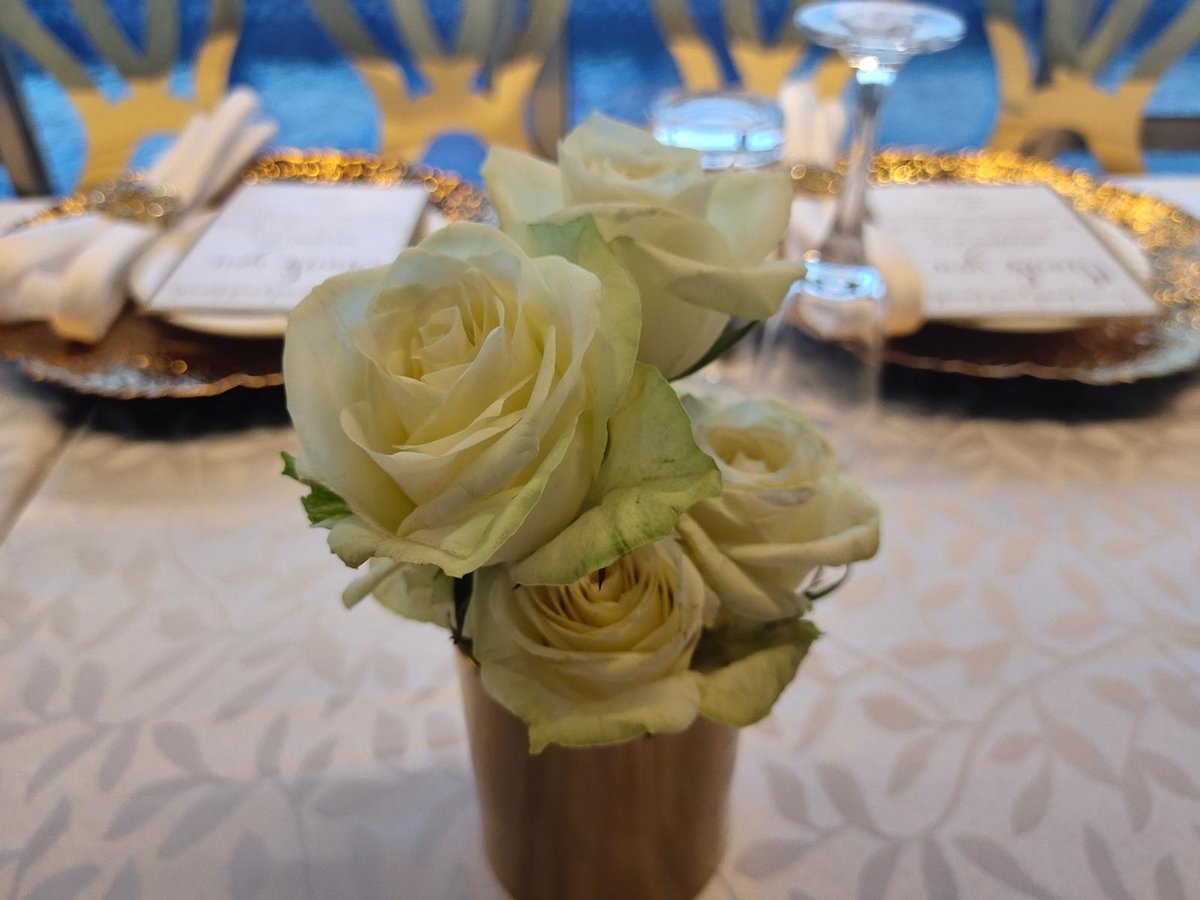 SwissLenana's tweet photo. Event venue and setup by Swiss Lenana Mount Hotel.
Let us start planning together for your next celebration 😎 https://t.co/CIFAYSj7ci