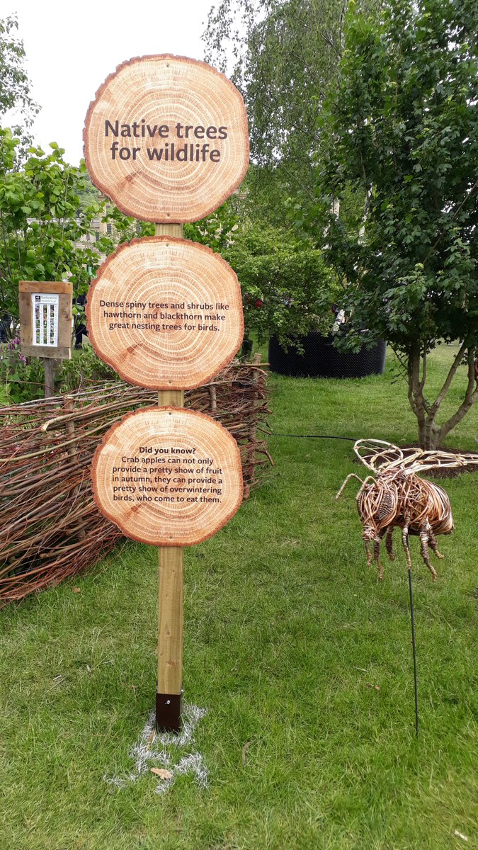 Making Local Woods Work tweet media