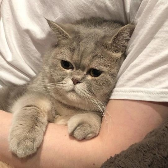 PlobJai's tweet photo. ทำไมวันจันทร์มันยาวนานกว่าทุกวันอะแม่ ;-; https://t.co/ajcXsjK2oS
