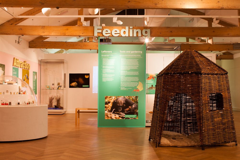 museums_yvonne's tweet photo. If you'd like to read more about @LeedsMuseums #BeaversToWeavers project which focused on exhibition making in a more environmentally sustainable way, @CuratorRuth wrote a blog post about it - https://t.co/pYSUXM7qvb @MuseumsAssoc #Museums2019 #MCLAwards https://t.co/MIy8AdVxOC