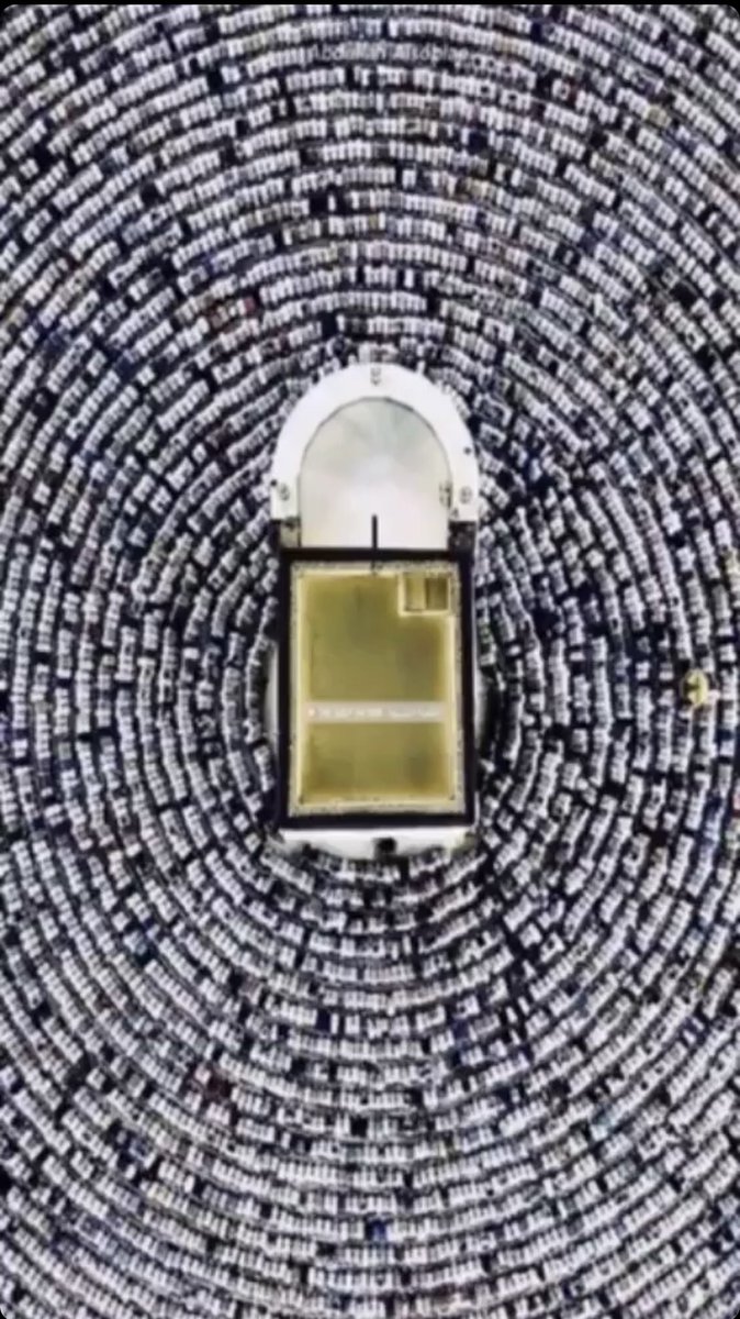 Chef Walaa Sonbul. (@wsonbul) on Twitter photo 