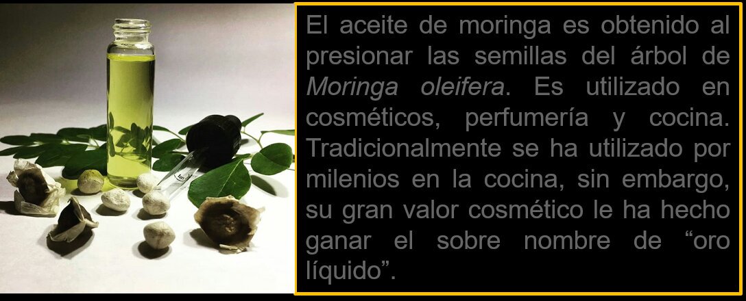 molartesanal's tweet photo. Venta de aceite de semilla de moringa. Siguenos por Instagram. #Moringa #moringaoil #7Oct #FelizLunes #FelizLunesATodos Contacto 04166370098 https://t.co/T6CBy8cBl7 https://t.co/xo1YxwJJqP https://t.co/GPZbiaaQbG https://t.co/YntkGgkdRo https://t.co/FGXIPd3YMh