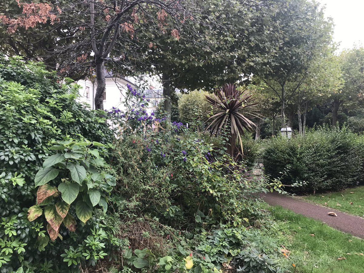 aba_lynda's tweet photo. Je pousse la petite🚪de l’ancien hôpital #Rochefoucauld.
Un havre de paix🌲🌺aux abords de l’avenue #GeneralLeclerc.

Aujourd’hui je voudrai me transformer en🐁 pour écouter ce qui se trame chez les politiciens, quant à l’avenir de ce petit coin de paradis dans #paris14 .

🌲🌳☘️ https://t.co/OroojTP5hg