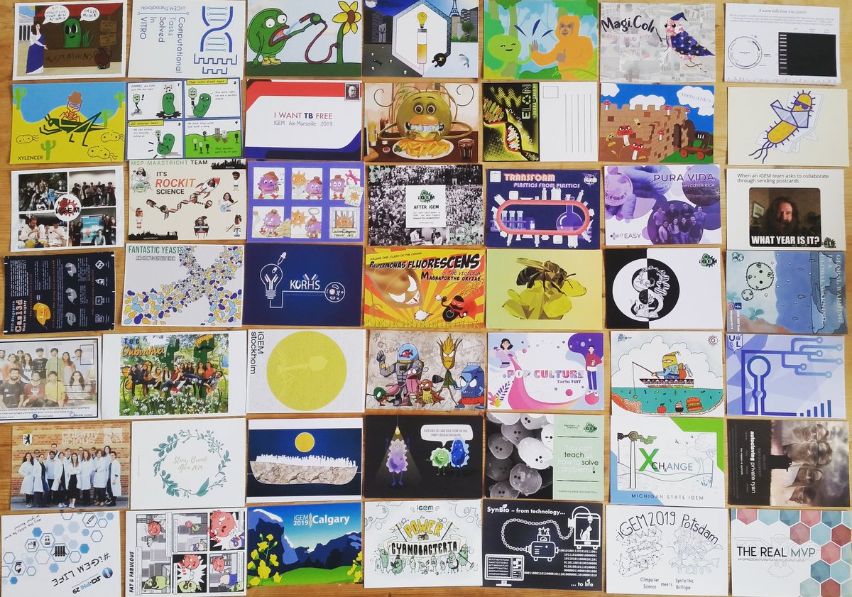 Look at all of these amazing postcards! They look stunning and the projects behind them are impressive 💪 
Thank you <a href="/iGEM_HHU/">iGEM Duesseldorf 2024</a> for coordinating this collaboration.

#postcards #art #igem #igem2019 #biology #syntheticbiology #immunology #science