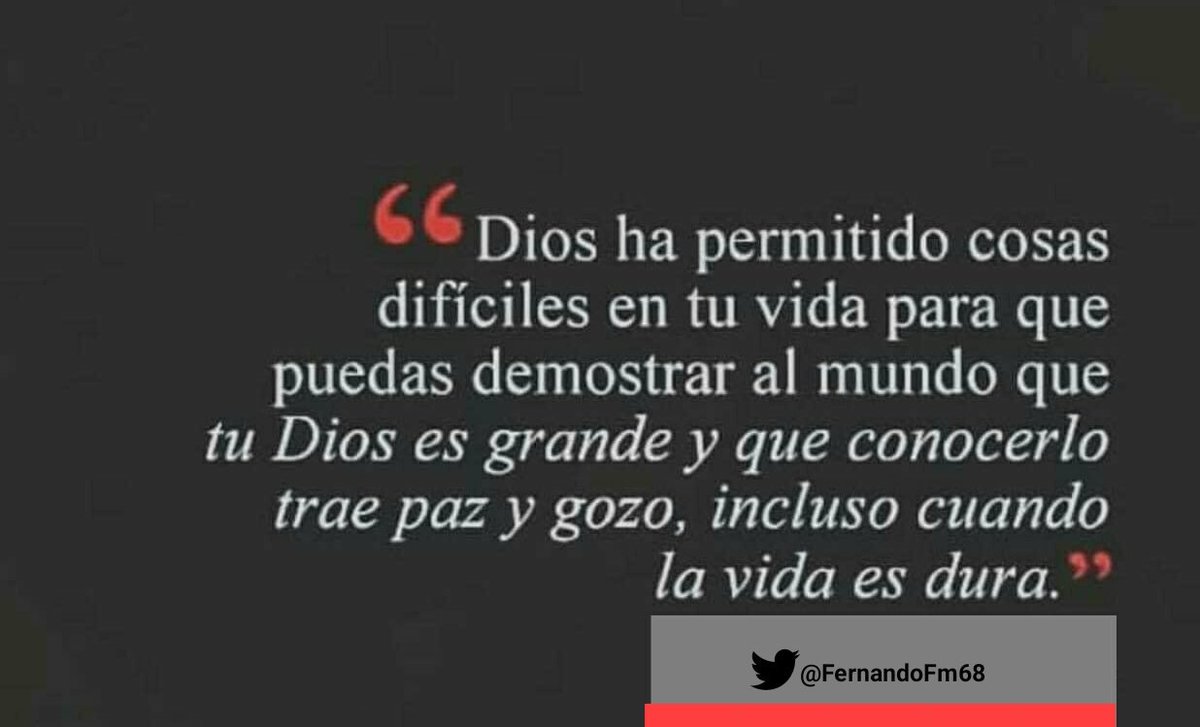 FERCHO tweet media