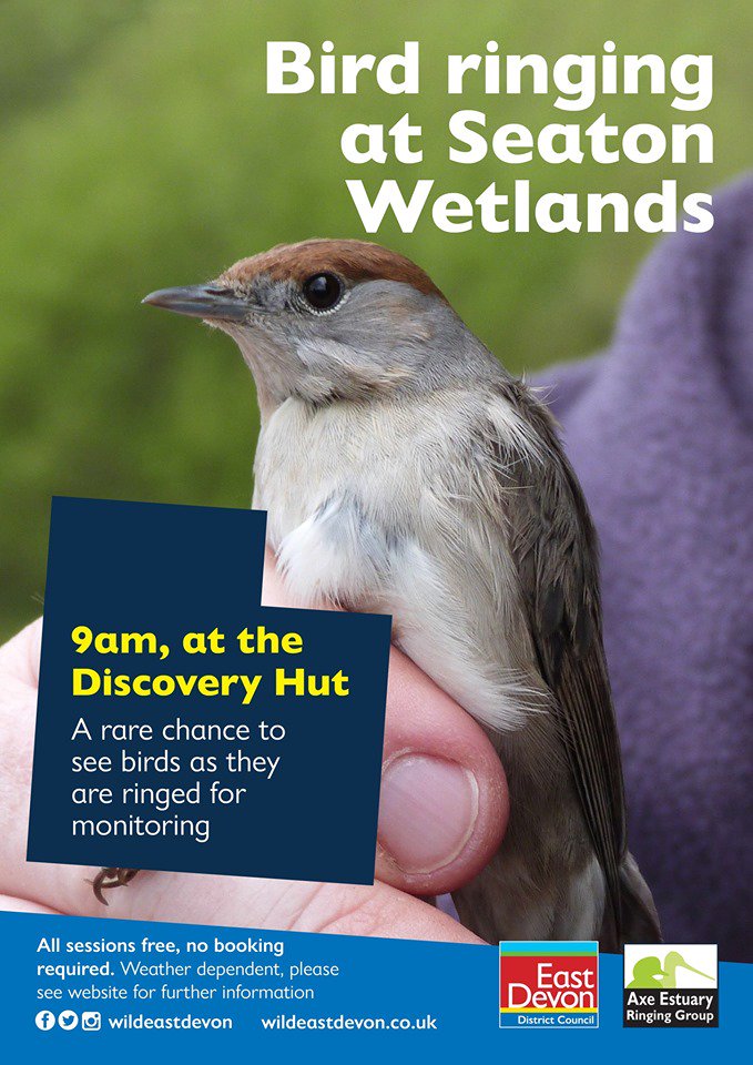 This Saturday there is an exciting chance to see wild birds up close as they are ringed, helping documentation and protection! No booking is required and it's free, so join the team at Seaton Wetlands at 9am on Saturday at the Discovery Hut.

#VisitSeaton #OutdoorsSeaton