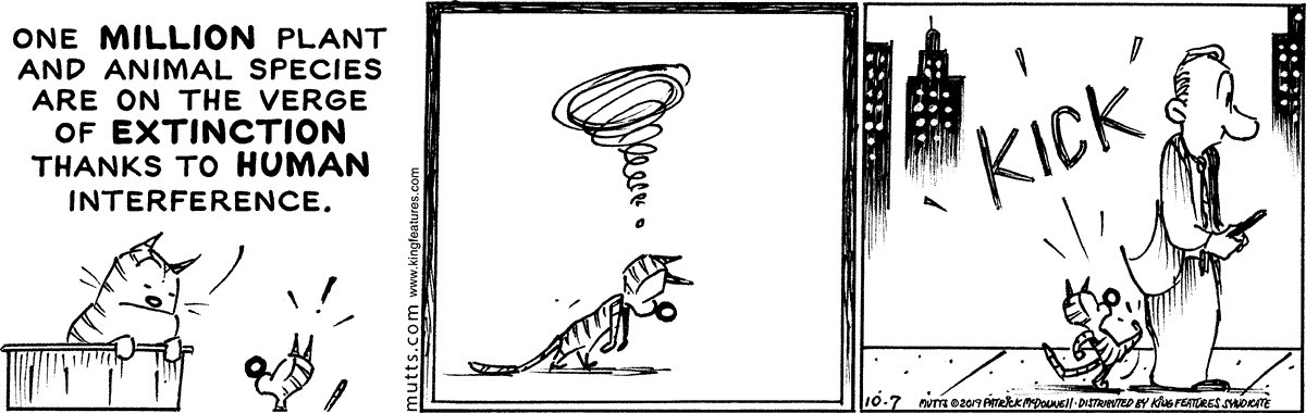 KatNica5's tweet photo. #Muttscomic https://t.co/OJHSudHibA