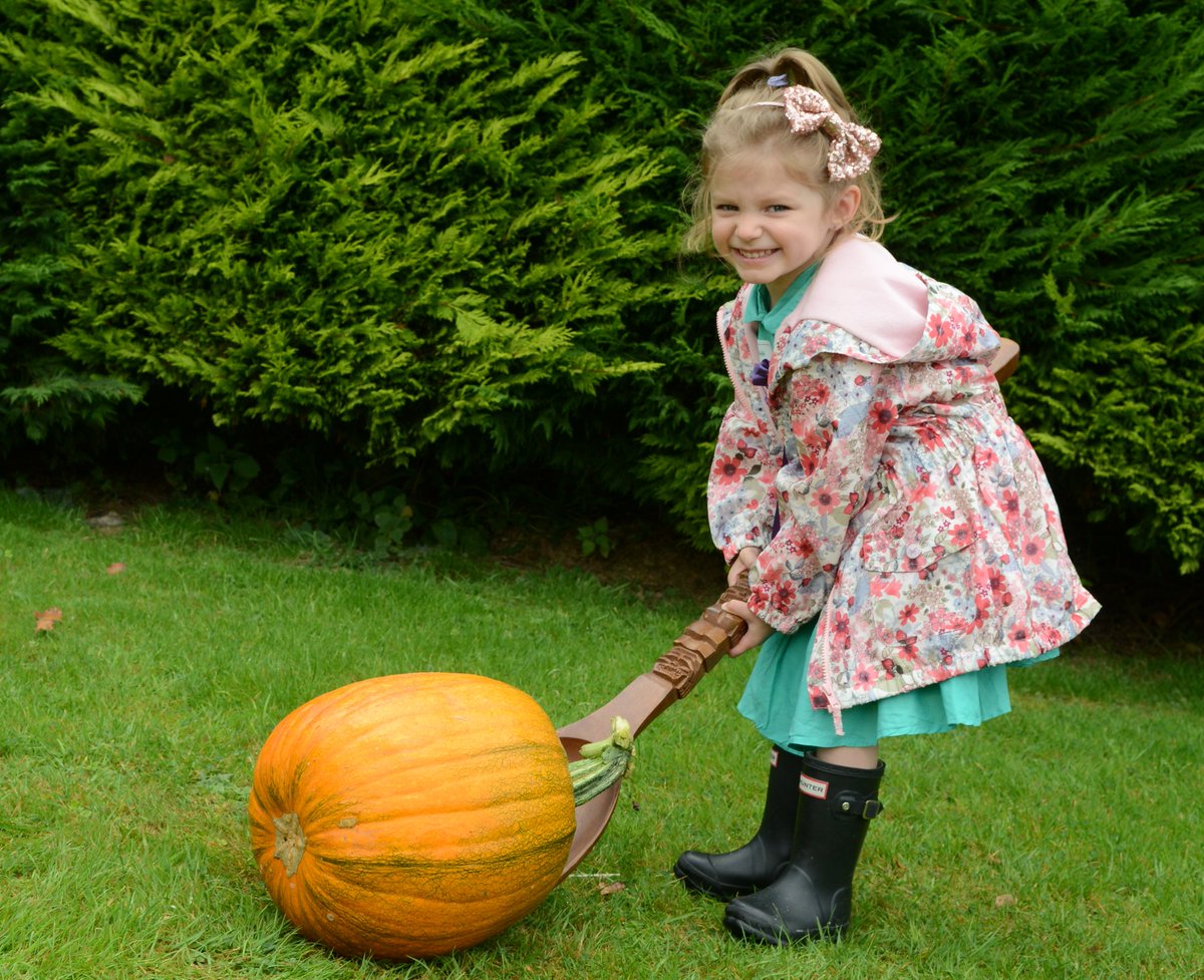 blueprintguide's tweet photo. 🧙‍♀️🎃Devon style. Devon’s Top Attractions have got a whole host of exciting half term events and activities lined up for all those happy Halloweenies that want to have some monstrous or mysterious half term days out. 🎃🧙���♀️

Read more here: https://t.co/xN1PcL6vpC https://t.co/osPqFd19dD