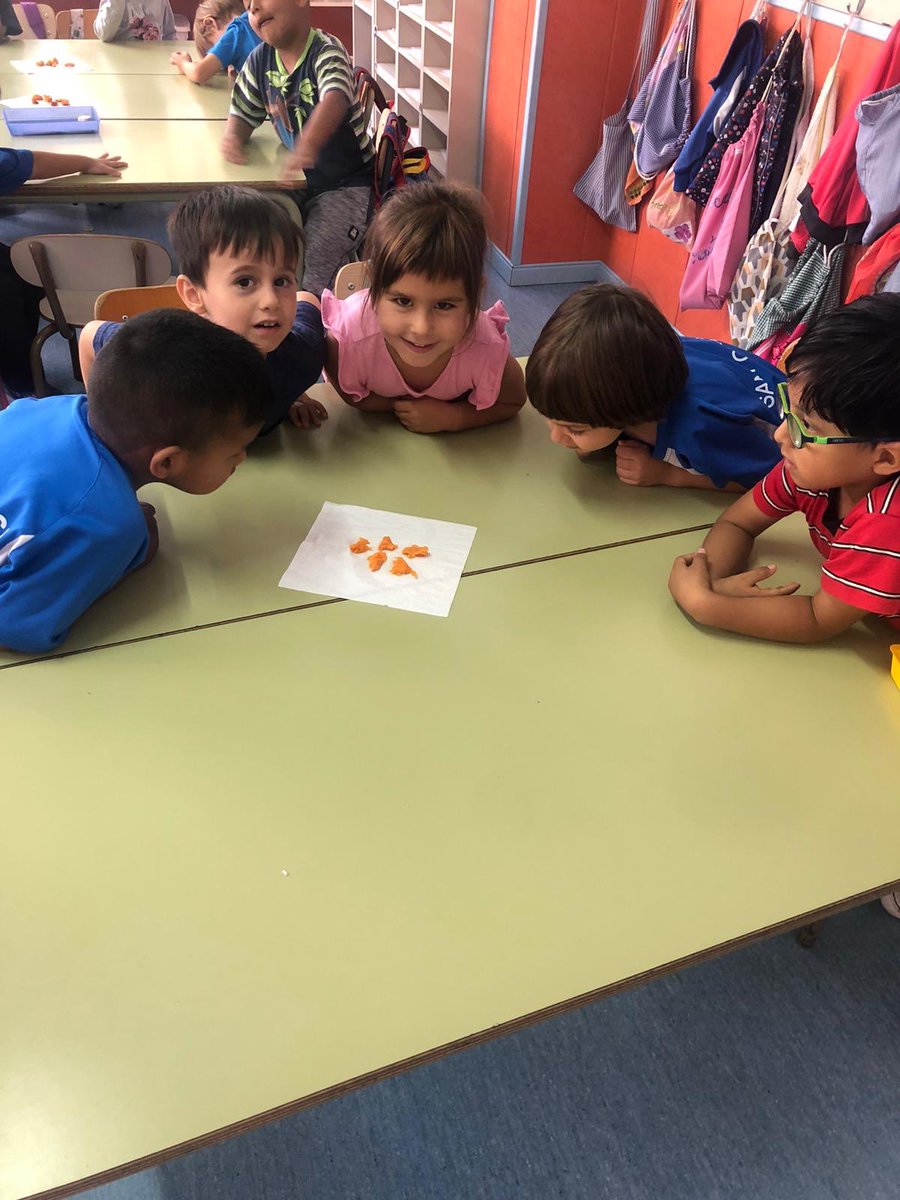 stgervasi's tweet photo. Divendres els coales, vam veure un fruit de la tardor. El vam olorar i tastar. No ens va agradar gaire... #experimentem #provem #P4🐨 #stgervasi https://t.co/OcqRdSrFue