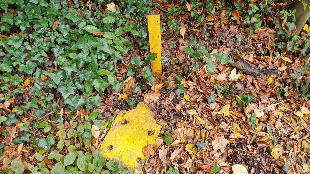 Nucflash tweet media