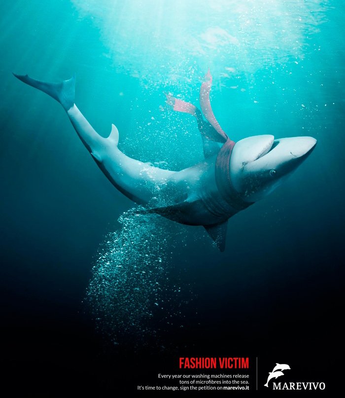 revistactrl's tweet photo. Las verdaderas "fashion victims" no son humanas https://t.co/b2DLahq1XK @MarevivoOnlus #StopMicrofibre #plasticfree #Contaminación #mares #fashionvictim https://t.co/qCBwBJo5bF