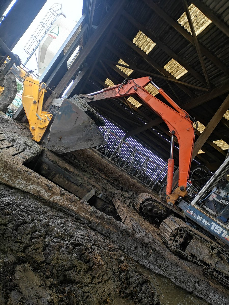 ludoagri's tweet photo. Quand le callibotis te joue des tours.💩💩.  Au moins on est dans les dates d'épandage.. 🙊🙊Et avec plein d'azote pour les future maïs🌽🌽🌽🌽🌱🌿 https://t.co/FEpXJuinRy
