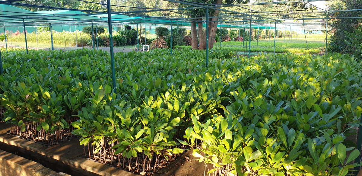 Surat Division tweet media