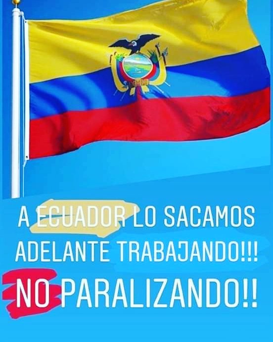 EVEMISHU's tweet photo. Qué pasa Ecuador ! No es justo que por un grupo de personas estemos afectados TODOS. Muchos de mis familiares han tenido que ir caminando o jalando dedo al trabajo en distancias que son muy largas. Ni de mi casa puedo salir porque no tengo buses. #NoMásMarcha #CansadaDelCaos https://t.co/Y1ajgWM53h