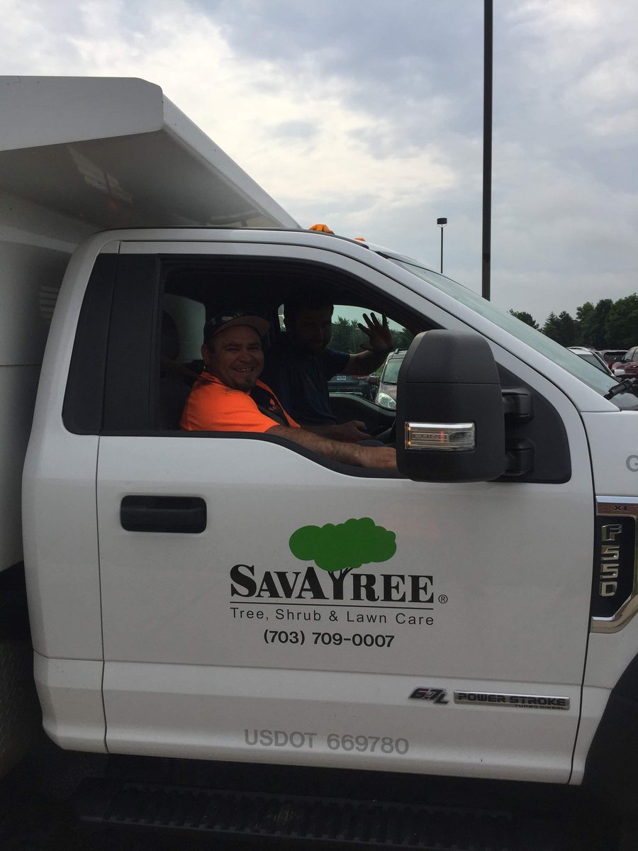 DTES_Landscape tweet media