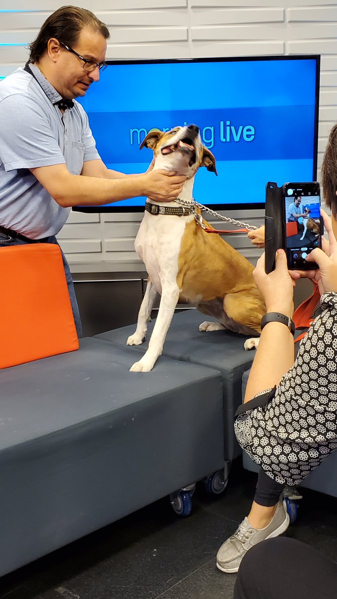 morninglive's tweet image. Looks like Producer Don and Sasha are in their happy place!! #AdoptablePets @LincolnCountyHS
