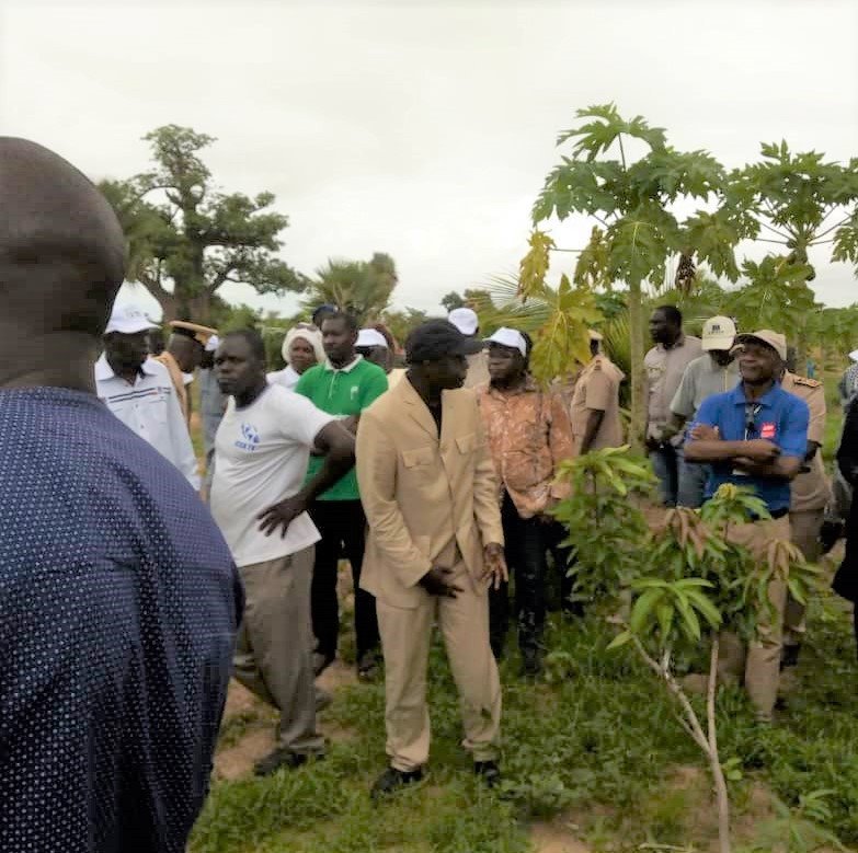 Agro-écologie : le modèle sénégalais à Fimela, dans la région de Fatick.

<a href="/PR_Senegal/">Présidence Sénégal</a> <a href="/Macky_Sall/">Macky Sall</a>