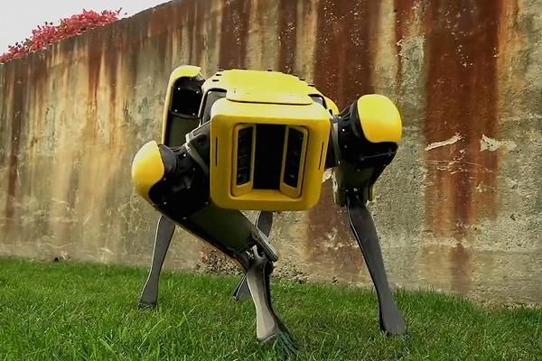 Robo_Shadow's tweet image. #bostondynamics commercially Launch #Spot the dog. &quot;Built to be a rugged and customizable platform, Spot autonomously accomplishes your industrial sensing and remote operation needs”. Very exciting times - Do you need one in your office? buff.ly/2mSbzyl #RoboShadow