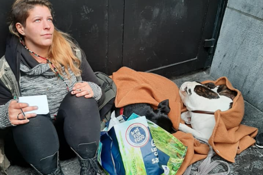 À Liège, les internautes se mobilisent pour venir en aide à une SDF et sa chienne enceinte bit.ly/LiegeSDF
