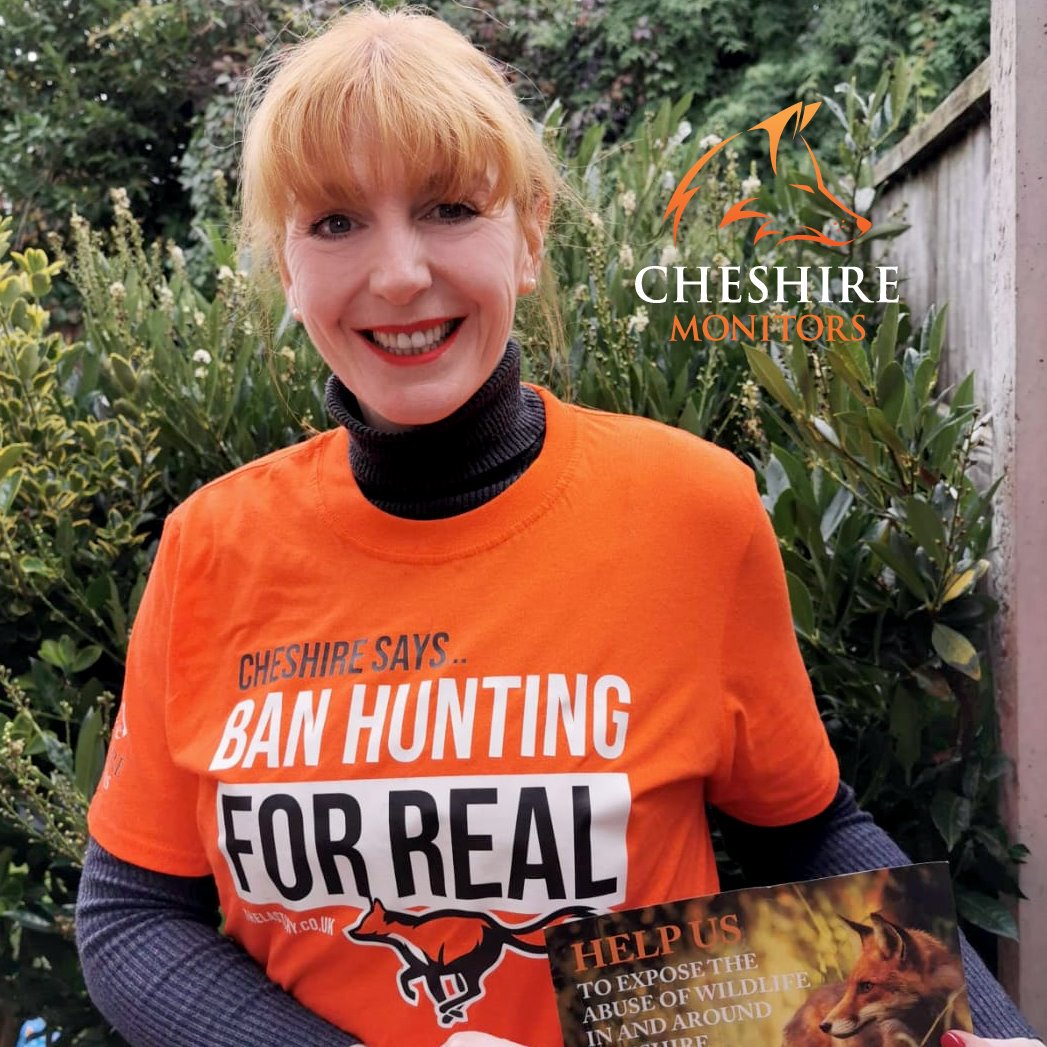 Cheshire Monitors tweet media