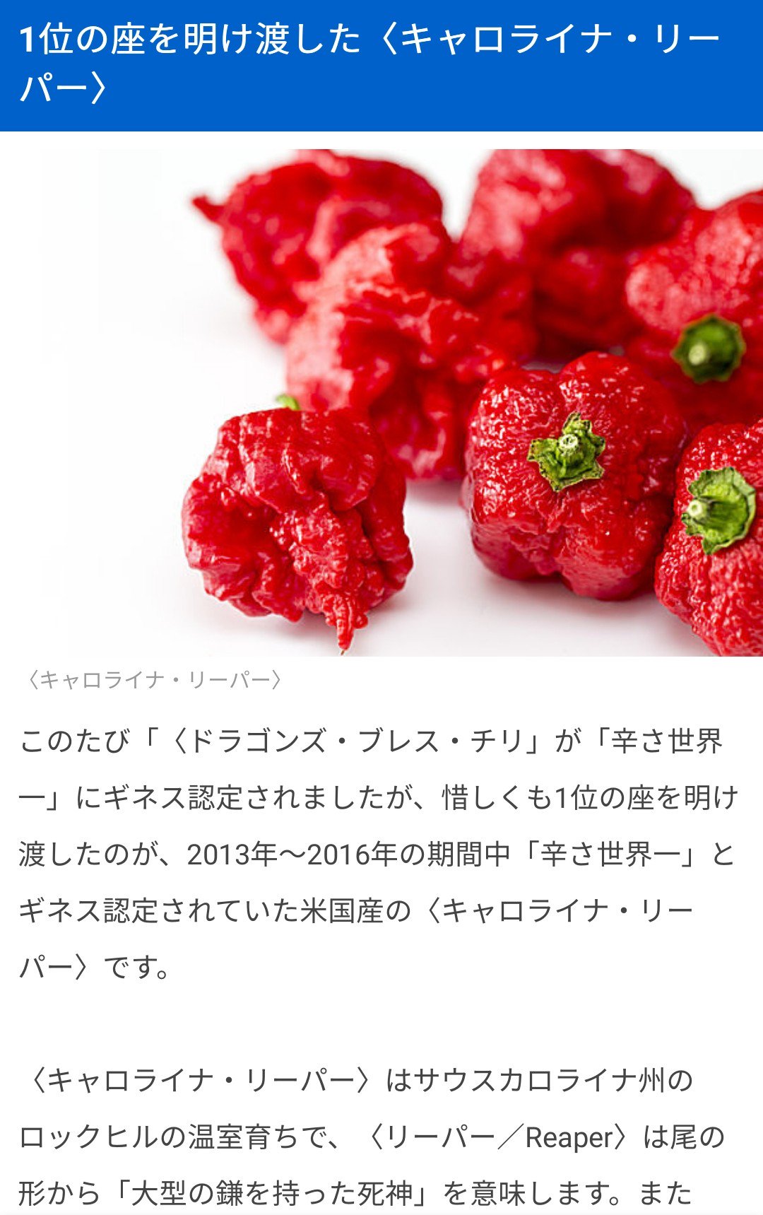 わた飴 五等分のぼく勉 激辛カレーのレシピを見つけても 辛いもの激弱な真冬先生の家にキャロライナ リーパーが買ってあるハズがなくて草 ぼくたちは勉強ができない