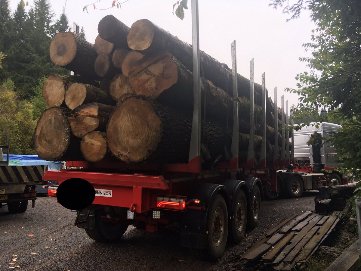 WenTimberCentre's tweet image. A good start to the week! A timber load has just arrived from the Forest of Dean as part of ongoing forest management. There are Ash, Sycamore, Beech and Poplar in there, which makes a very happy Boss 😆. #sustainabletimber #sustainablelogging  #localtimber #forestofdean
