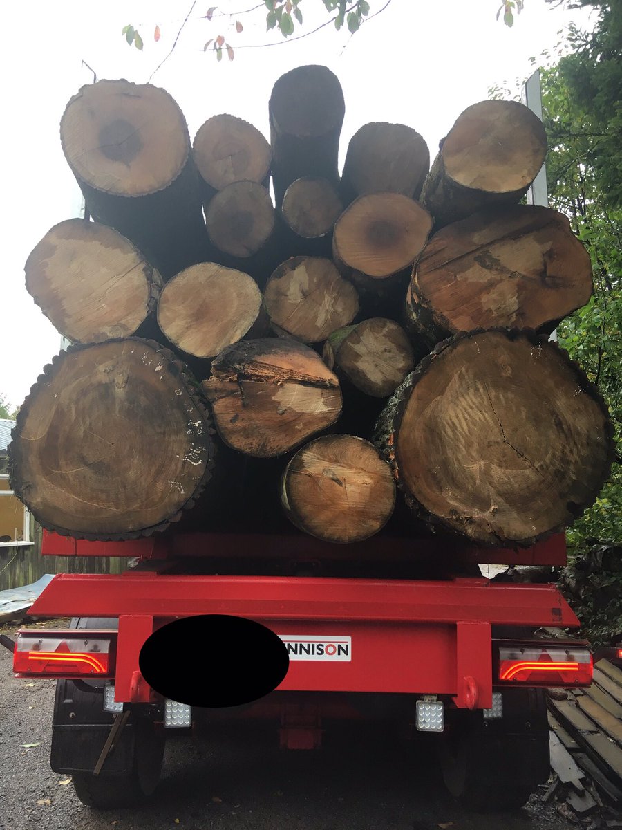 WenTimberCentre's tweet image. A good start to the week! A timber load has just arrived from the Forest of Dean as part of ongoing forest management. There are Ash, Sycamore, Beech and Poplar in there, which makes a very happy Boss 😆. #sustainabletimber #sustainablelogging  #localtimber #forestofdean