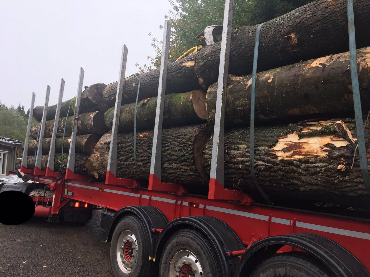 WenTimberCentre's tweet image. A good start to the week! A timber load has just arrived from the Forest of Dean as part of ongoing forest management. There are Ash, Sycamore, Beech and Poplar in there, which makes a very happy Boss 😆. #sustainabletimber #sustainablelogging  #localtimber #forestofdean