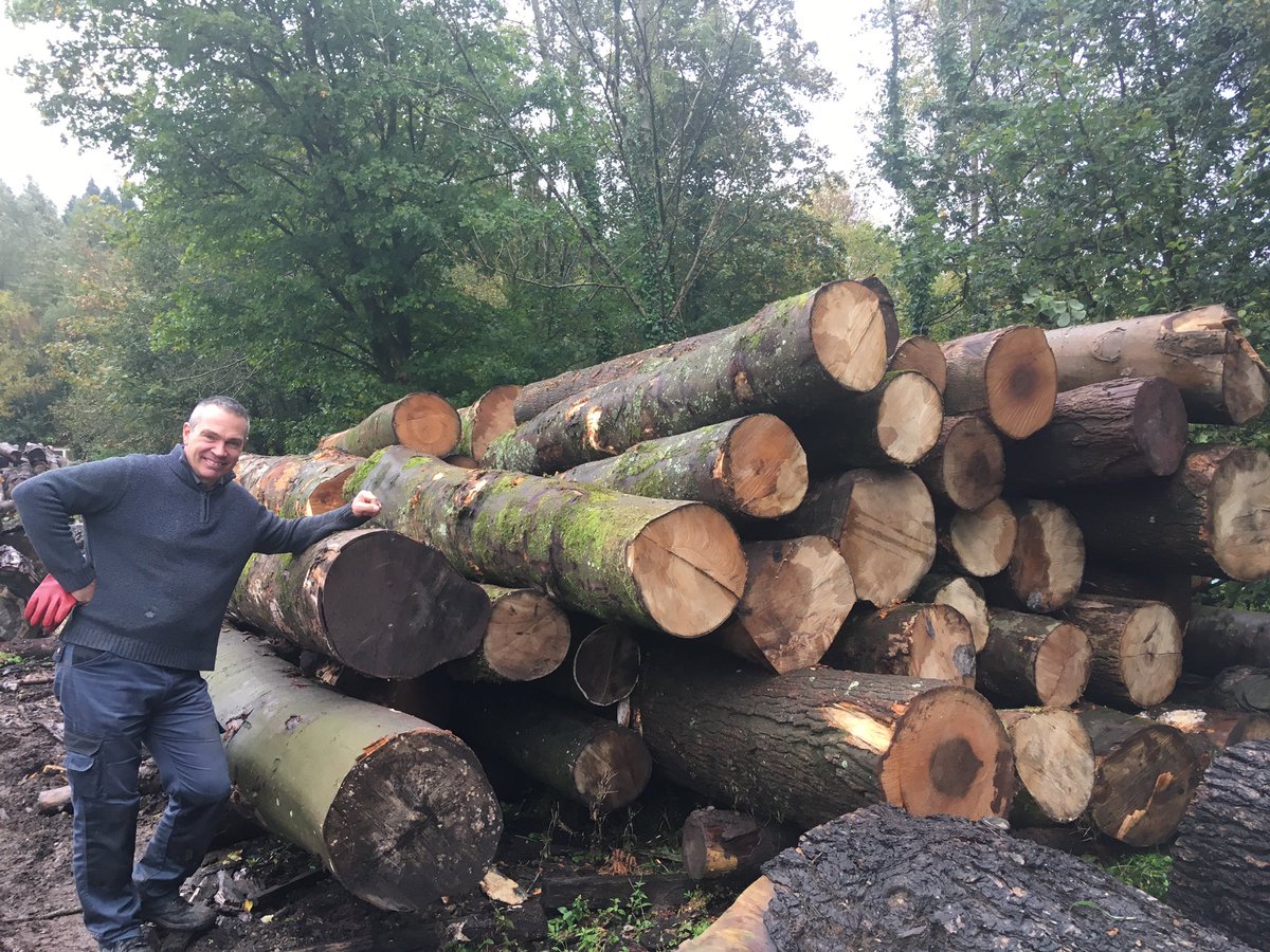 WenTimberCentre's tweet image. A good start to the week! A timber load has just arrived from the Forest of Dean as part of ongoing forest management. There are Ash, Sycamore, Beech and Poplar in there, which makes a very happy Boss 😆. #sustainabletimber #sustainablelogging  #localtimber #forestofdean