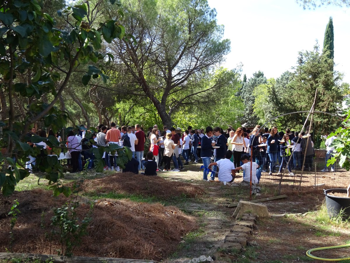 Para finalizar compartimos nuestra, ya tradicional, comida campestre. 
Todo el mundo ha contribuido con algo, ¡construyendo fraternidad!
¡Qué bien sienta una tortilla después de toda la mañana!
Y lo dejamos todo recogido, nada de #basuraleza. 
#CuidandoNuestroEntorno