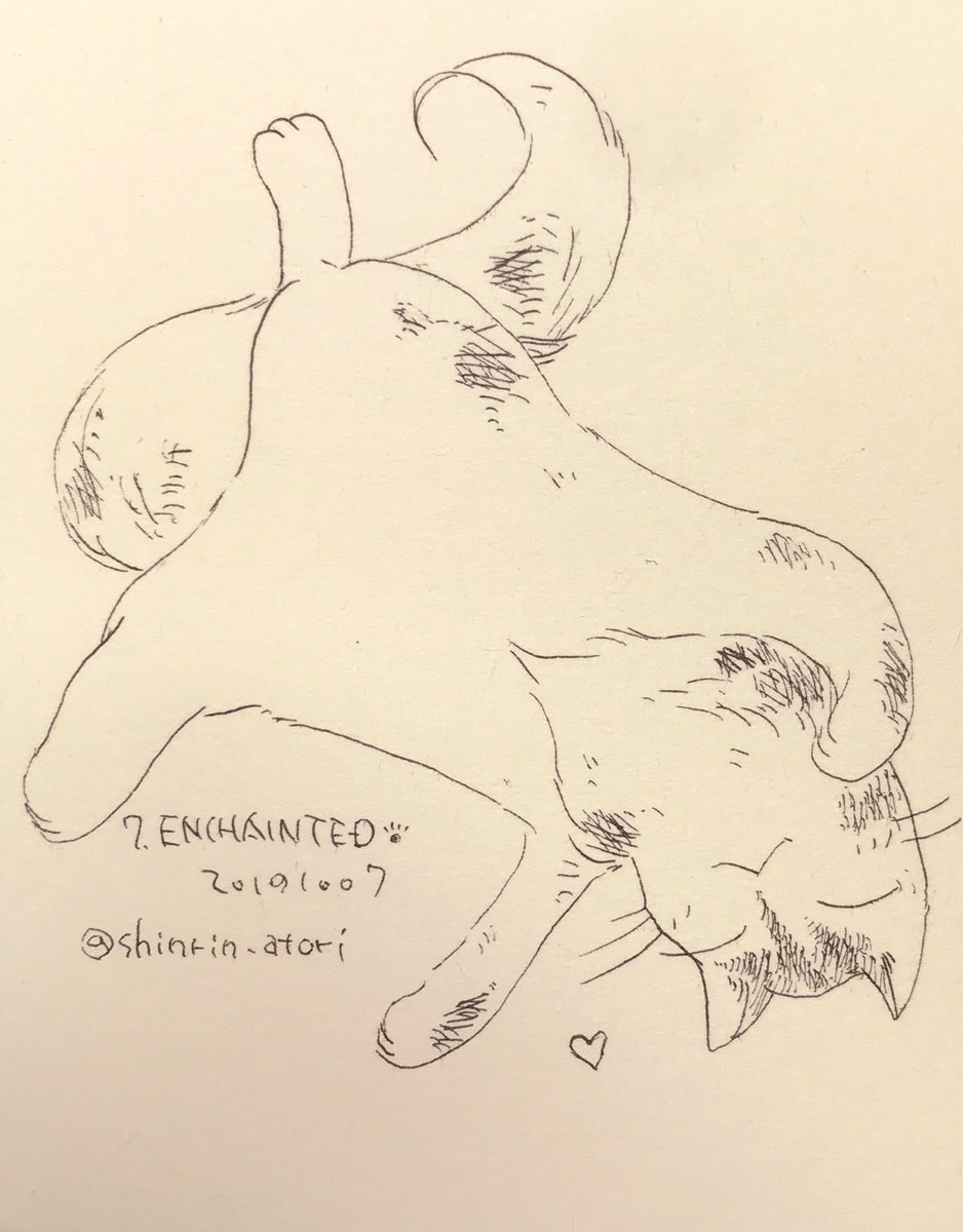 7 ENCHANTED その腹毛に顔を埋めたい
#Inktober2019
#inktober2019day7
お触り禁止です♡