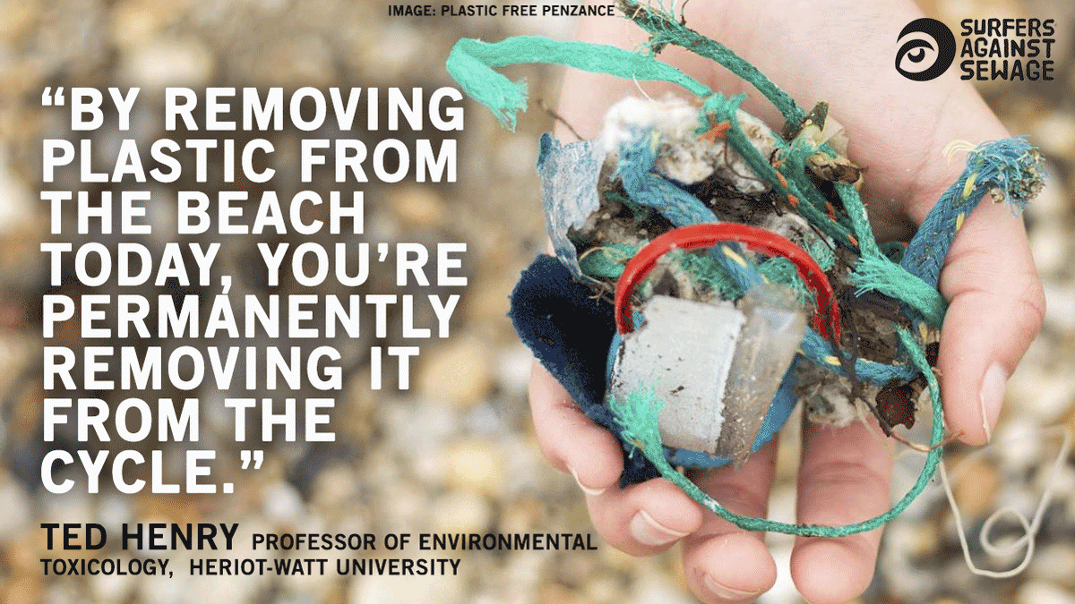 sascampaigns's tweet image. Every piece of plastic pollution we clean up counts.👏💪By removing it, we stop it from eventually polluting the open ocean for years &amp;amp; breaking up into tiny pieces. #MondayMotivation

Join a beach/river/urban clean🐚🏞️🏘️this Autumn &amp;gt;&amp;gt; sas.org.uk/regions-reps/ #AutumnBeachClean