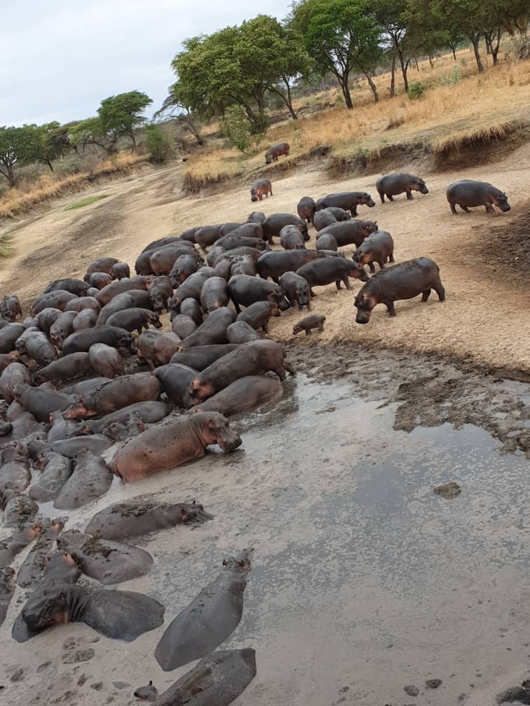 One place different capture, Katuma river in Katavi National Park.