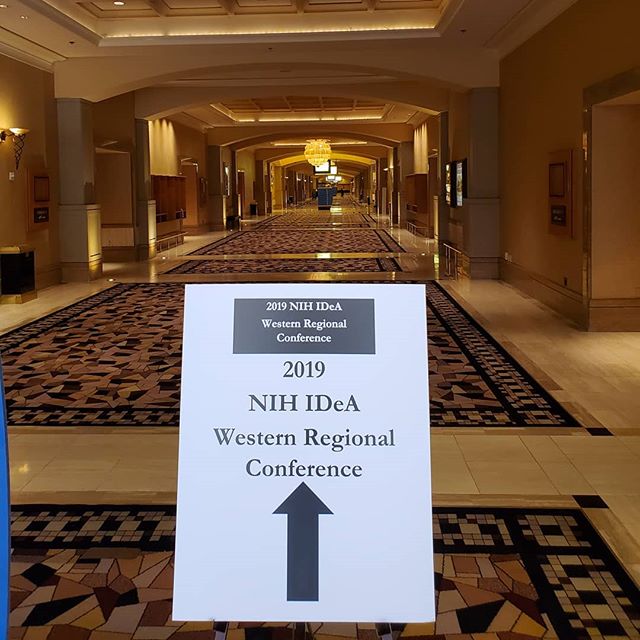 Nevada INBRE tweet media