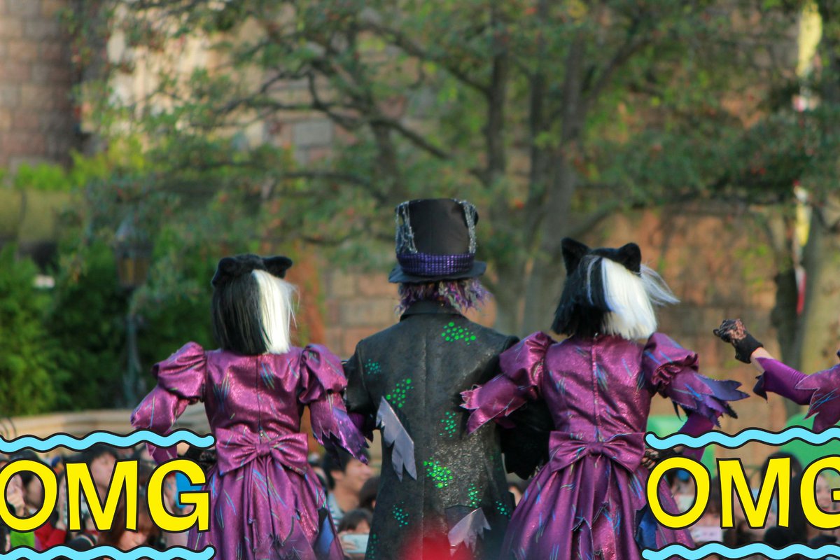 noko_1126's tweet photo. ようやくそこそこの距離で＼ﾊｯﾊｯﾊｯﾊｯﾊｯﾊｯﾊｯｰ↑／＼This is Halloween!This is Halloween!／のゾンネコを目視したので何とか成仏できると思いま＼＼＼ピン甘大賞受賞／／／ https://t.co/UYmGYNVXlE
