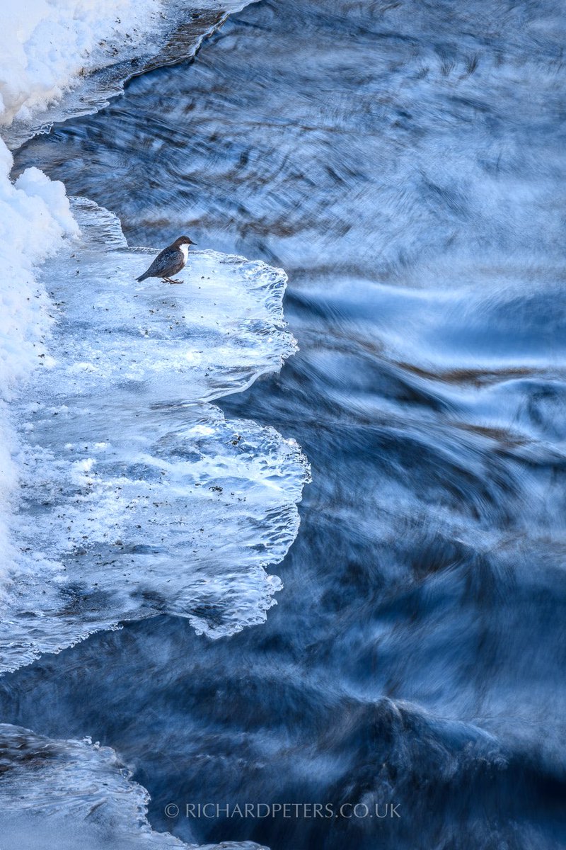 And for two tweets in a day, I’m pleased to say this image taken in Finland was also selected for <a href="/montphoto/">MontPhoto</a> 2019. A static subject, slow shutter and fast flowing river, combined with a high vantage point, worked a treat!