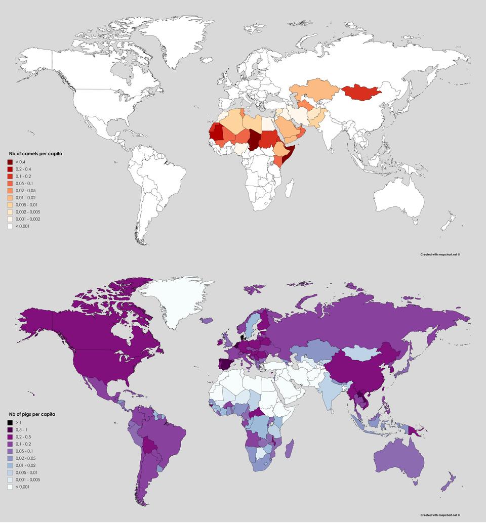 simongerman600's tweet photo. Useless #geography and #animal #trivia. Camels and pigs rarely meet. They are almost mutually exclusive creatures. Source: https://t.co/AfqMyLRElK https://t.co/YMs7nPjX2F