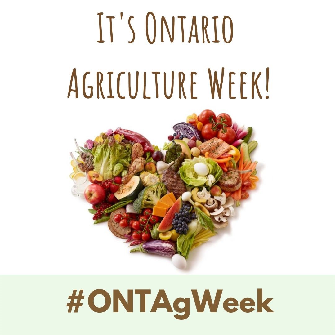 Today we begin a whole week to celebrate our local farmers and all that they do for our province. Stay tuned to our channel to learn more about the farmers and producers in your communities! #ONTAgWeek #LoveONTFood #ThankAFarmer