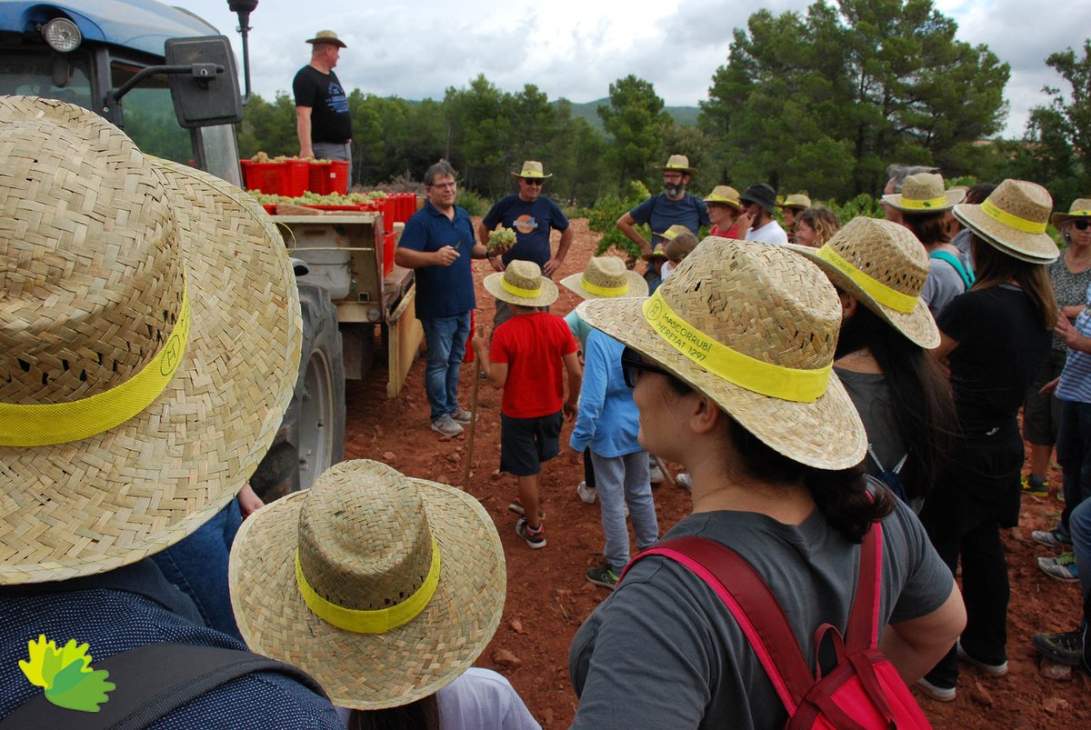 Enoturista | Vi(atges) autèntics tweet media